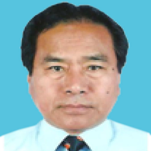 Dr. POTSANGBAM KUMAR SINGH